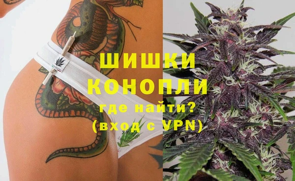 молекула духа Аркадак